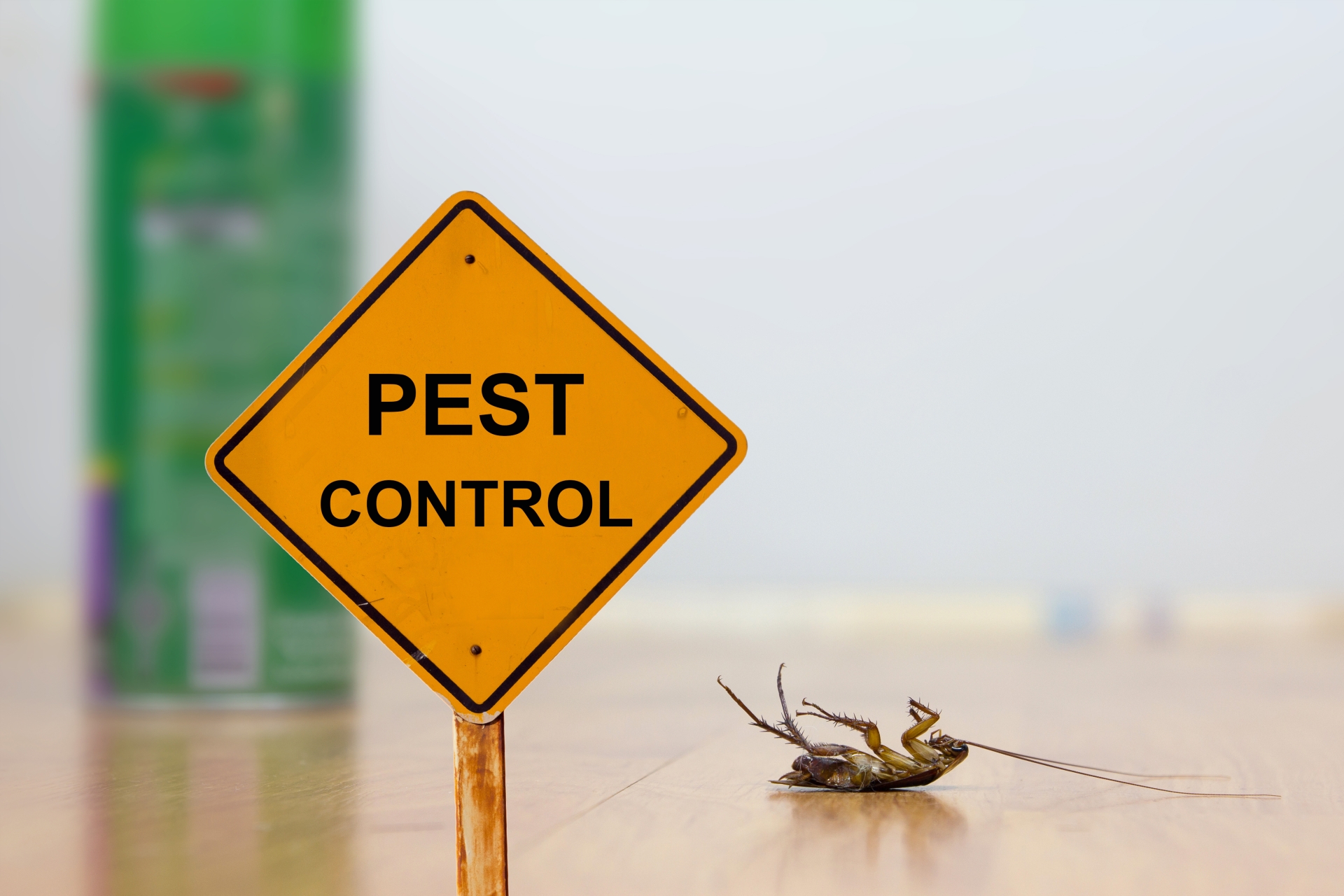 24 Hour Pest Control, Pest Control in Loughton, High Beach, IG10. Call Now 020 8166 9746